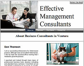 Effective Management Consultants website