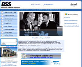 Business Systems Solutions website
